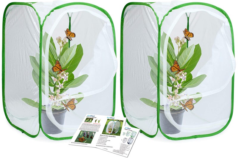 RESTCLOUD 24" Insect and Butterfly Habitat Monarch Butterfly Enclosure for Caterpillars Pop Up 24 Inches Tall Pack of 2 - Image 1